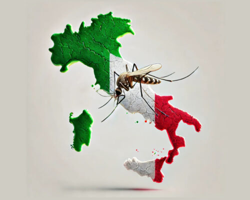 Le Zanzare in Italia: Specie Invasive e Autoctone