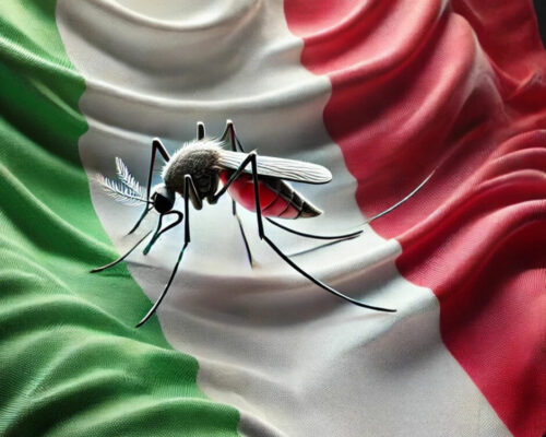 Ordinanze comunali e sanzioni sulle zanzare in Italia – Aggiornamento 2025