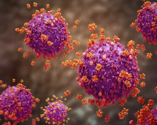 'Zanzare e AIDS